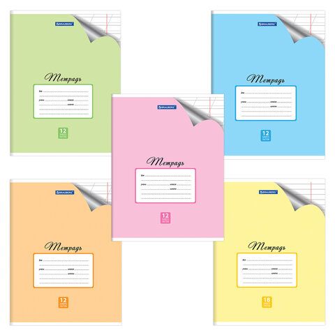 Тетрадь 12л. BRAUBERG ЭКО косая линия, обложка плотная мелов. бумага, ПАСТЕЛЬНАЯ С УГОЛКОМ