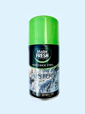 Освеж воздуха Сменный баллон Мастер Фреш д/авт спрея Морозное утро 250 мл / 